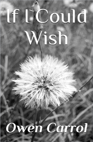 If I Could Wish