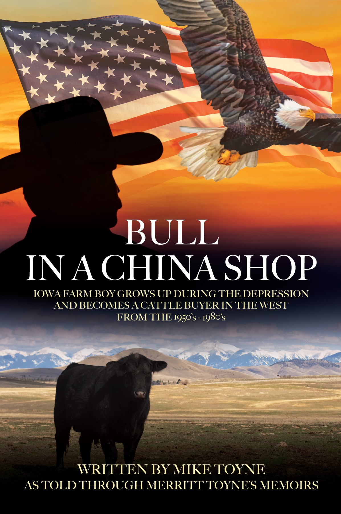 Bull In A China Shop book cover
