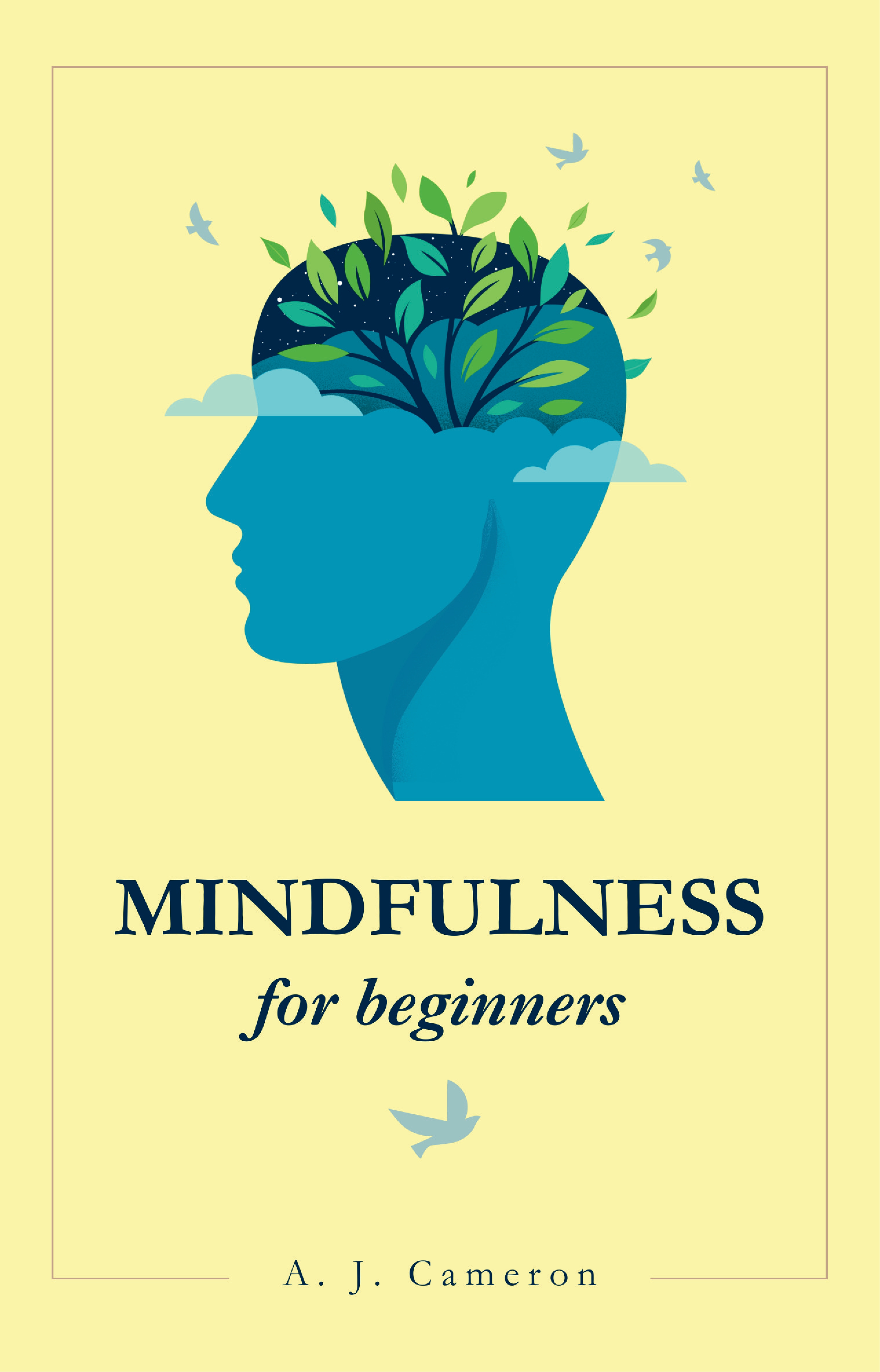 Mindfulness for Beginners