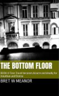 The Bottom Floor: Book II Time travel becomes dangerous and deadly for Jonathan and Denise.