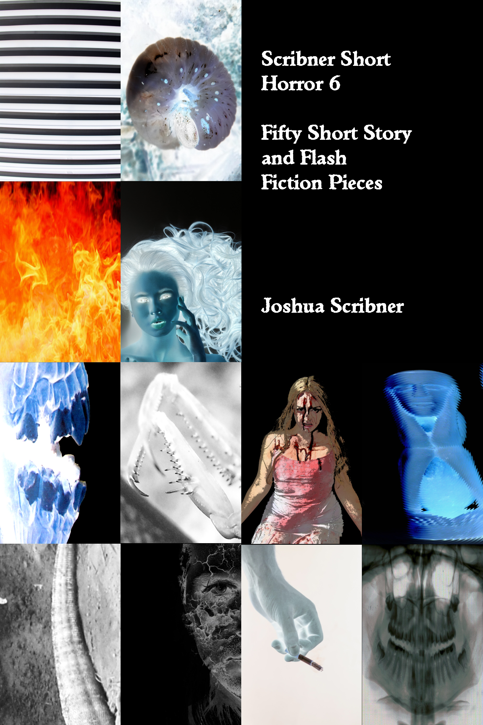 Scribner Short Horror 6