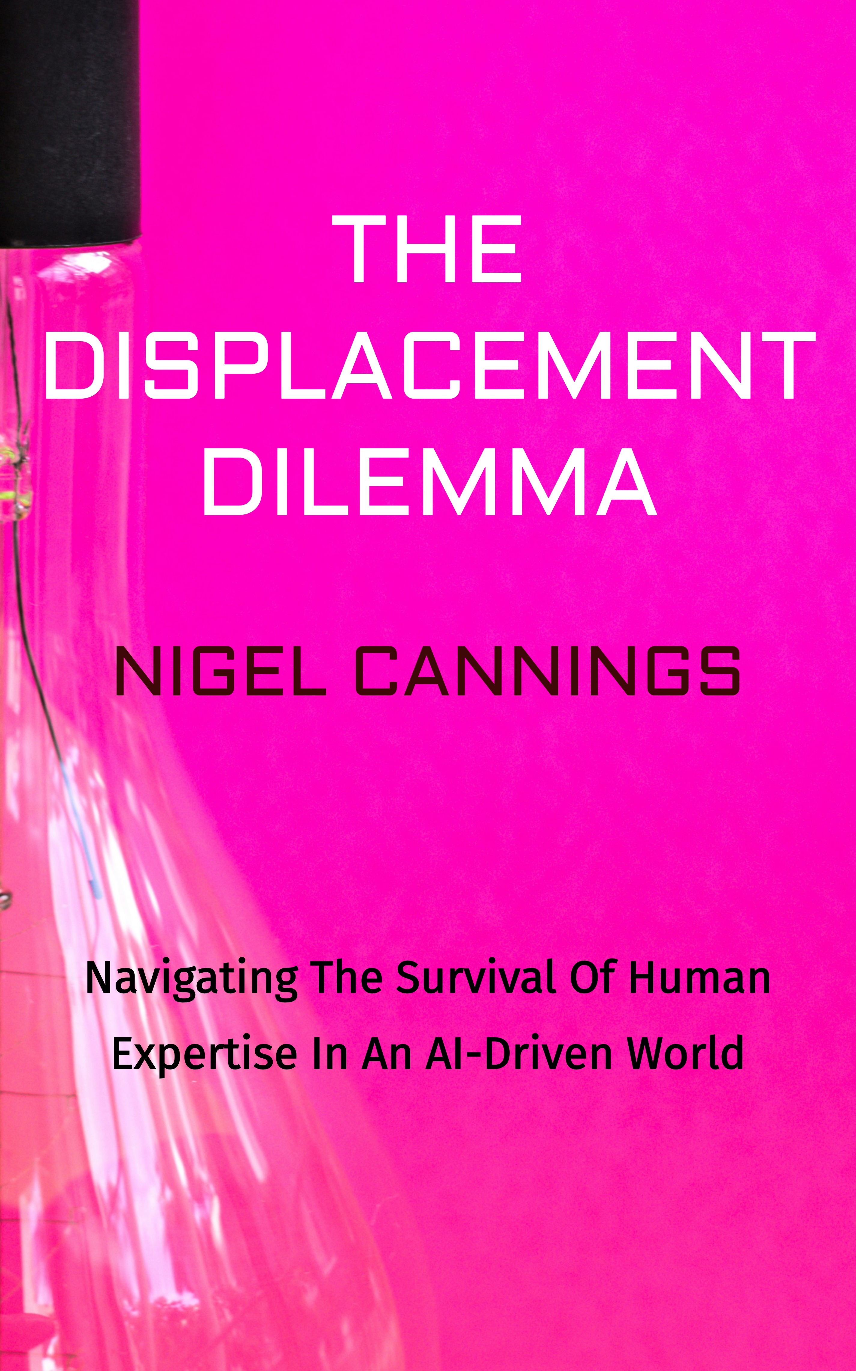 The Displacement Dilemma