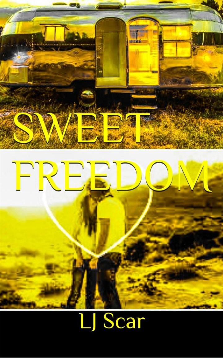 Sweet Freedom: Sworn off Love Quirky Female, Allergic to Commitment Alpha Male, Friends to Lovers Desert Romance (Sweet Series Book 3)