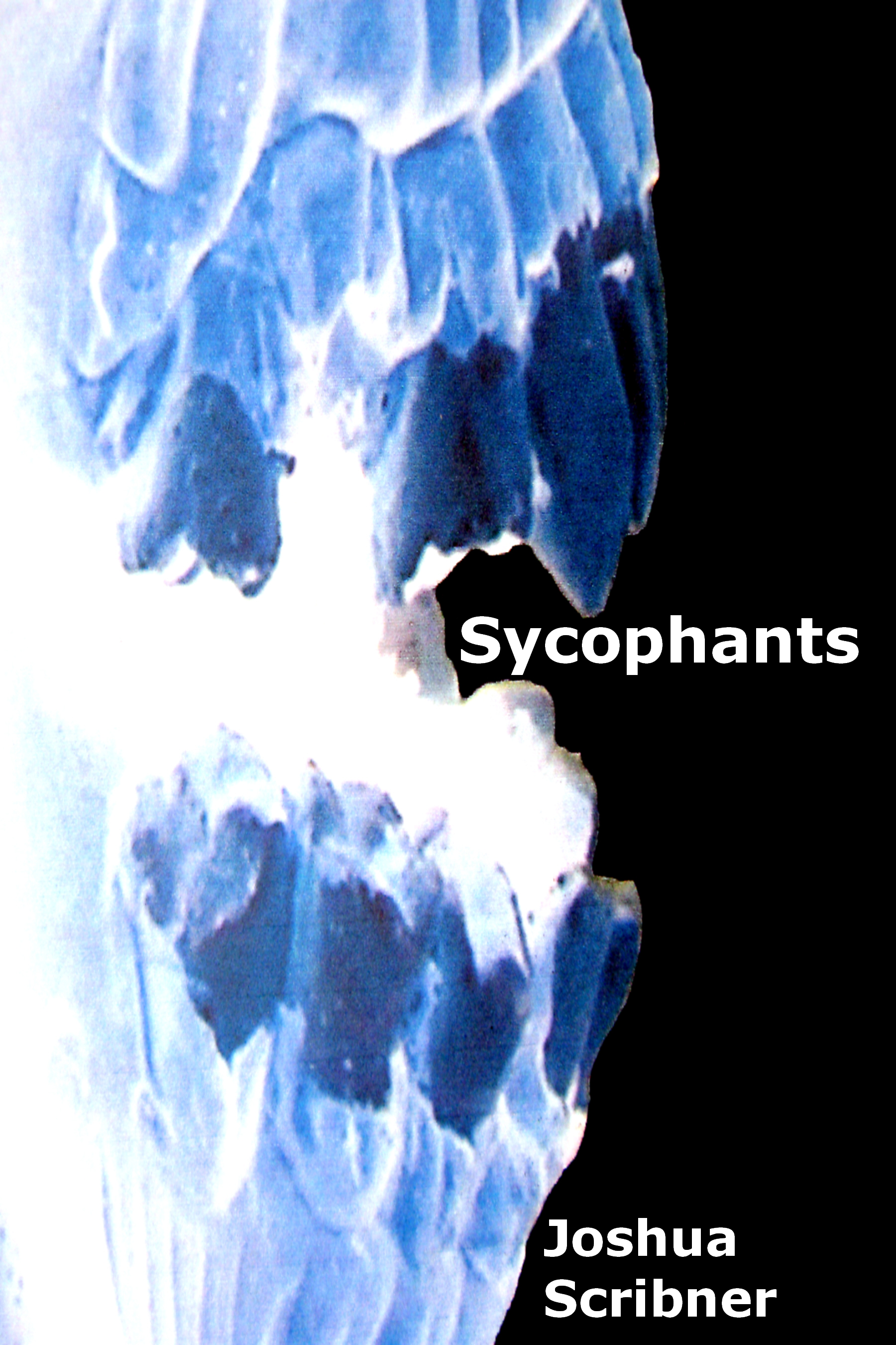 Sycophants