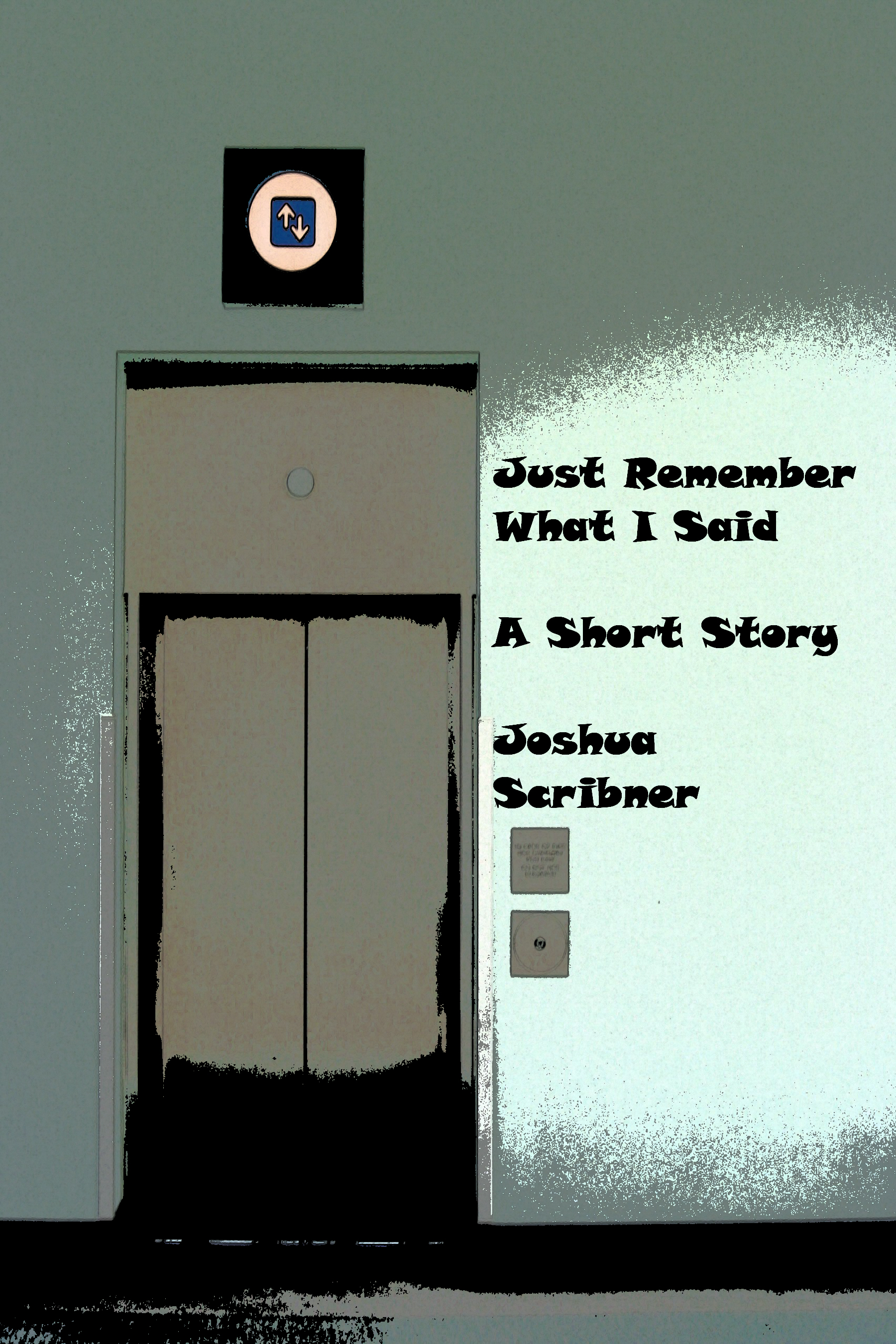 Just Remember What I Said: A Short Story
