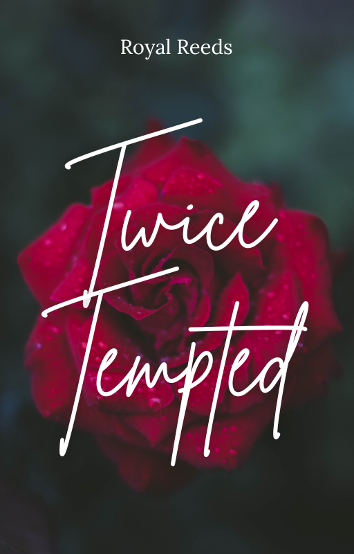 Twice Tempted: A Second Chance Romance 