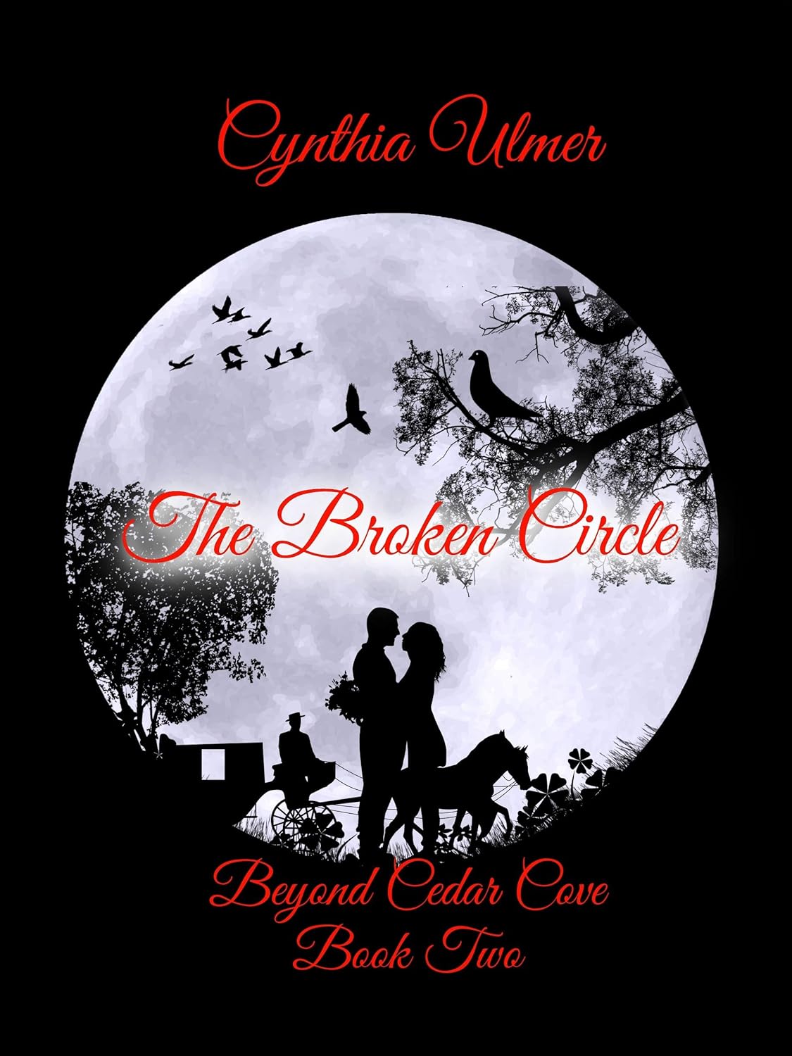 The Broken Circle, Beyond Cedar Cove, Book Two