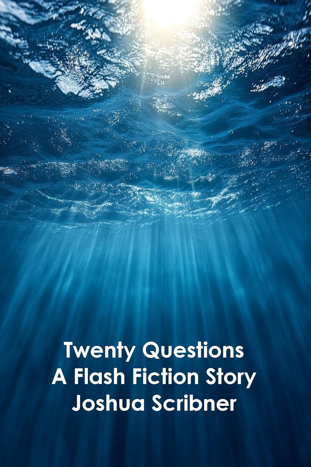 Twenty Questions: A Flash Fiction Story