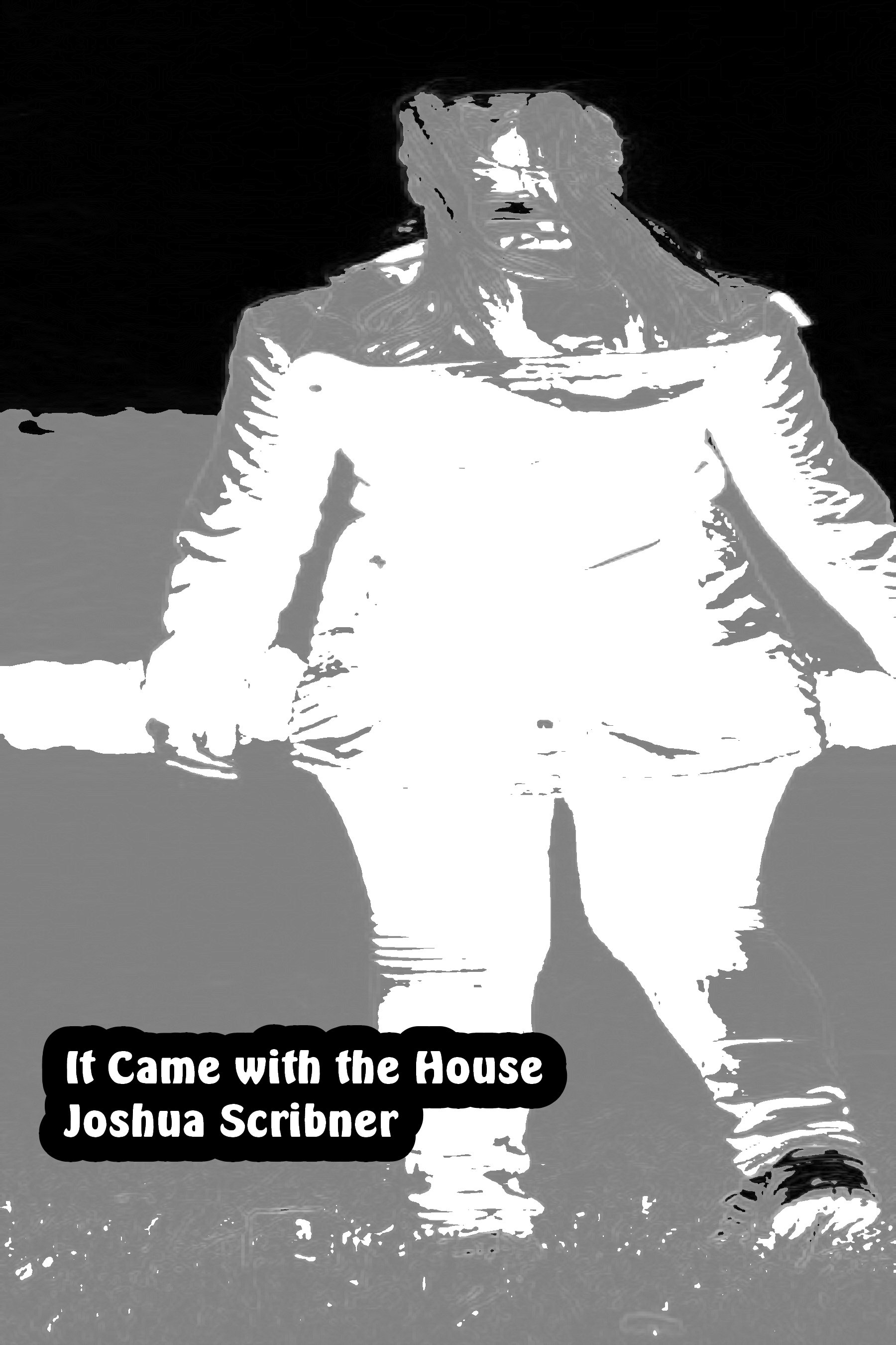 It Came with the House: A Flash Fiction Story