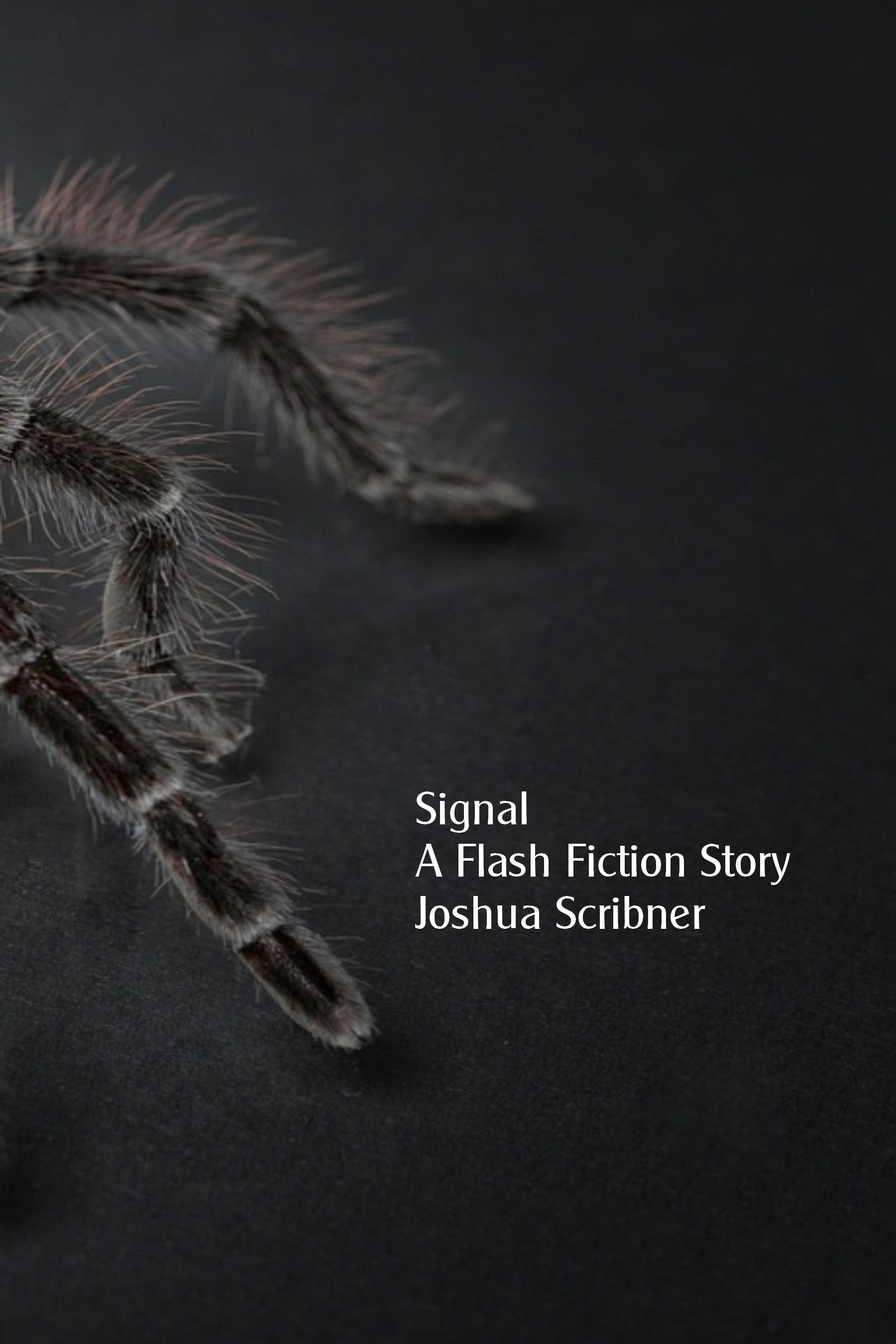 Signal: A Flash Fiction Story