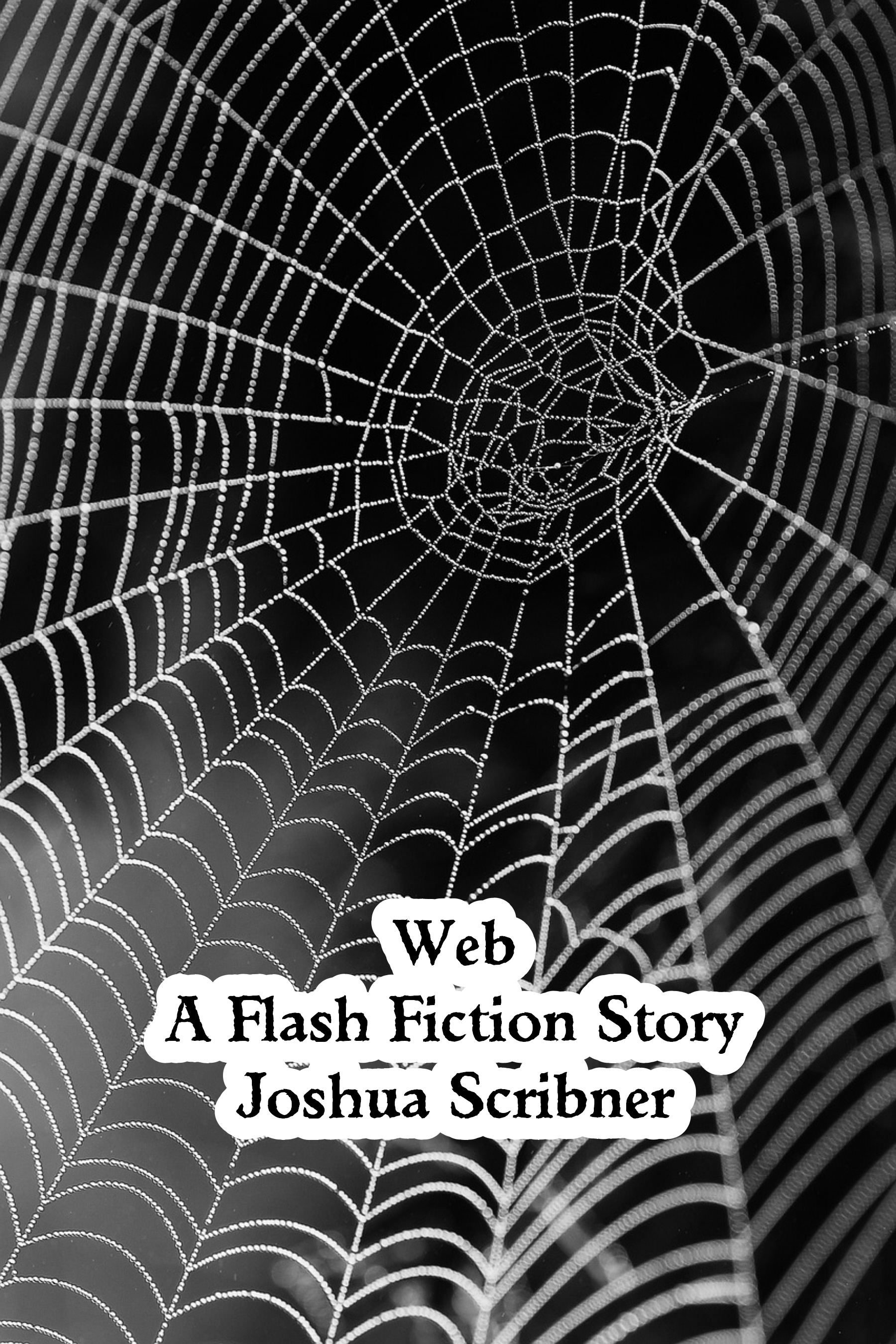 Web: A Flash Fiction Story