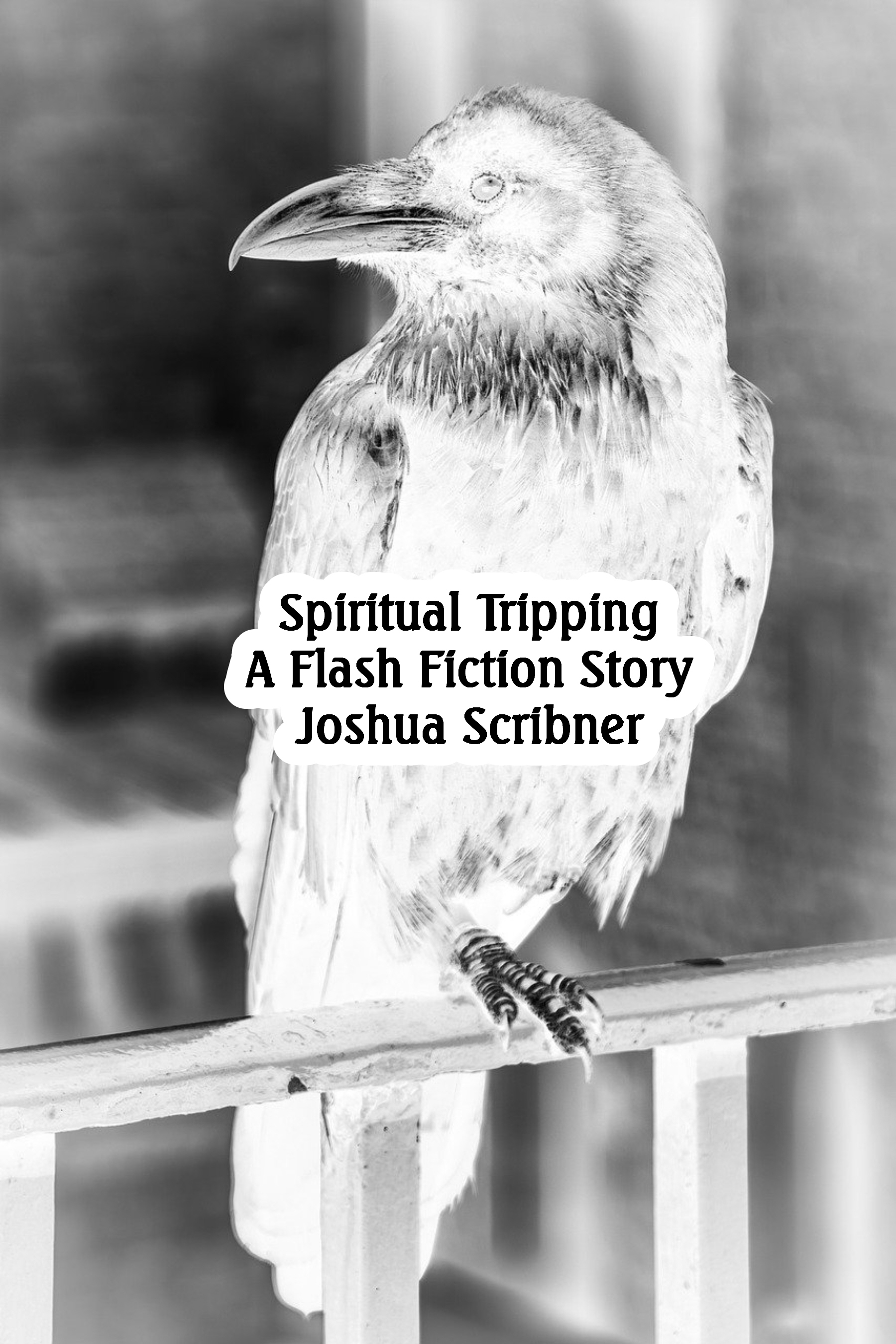 Spiritual Tripping: A Flash Fiction Story