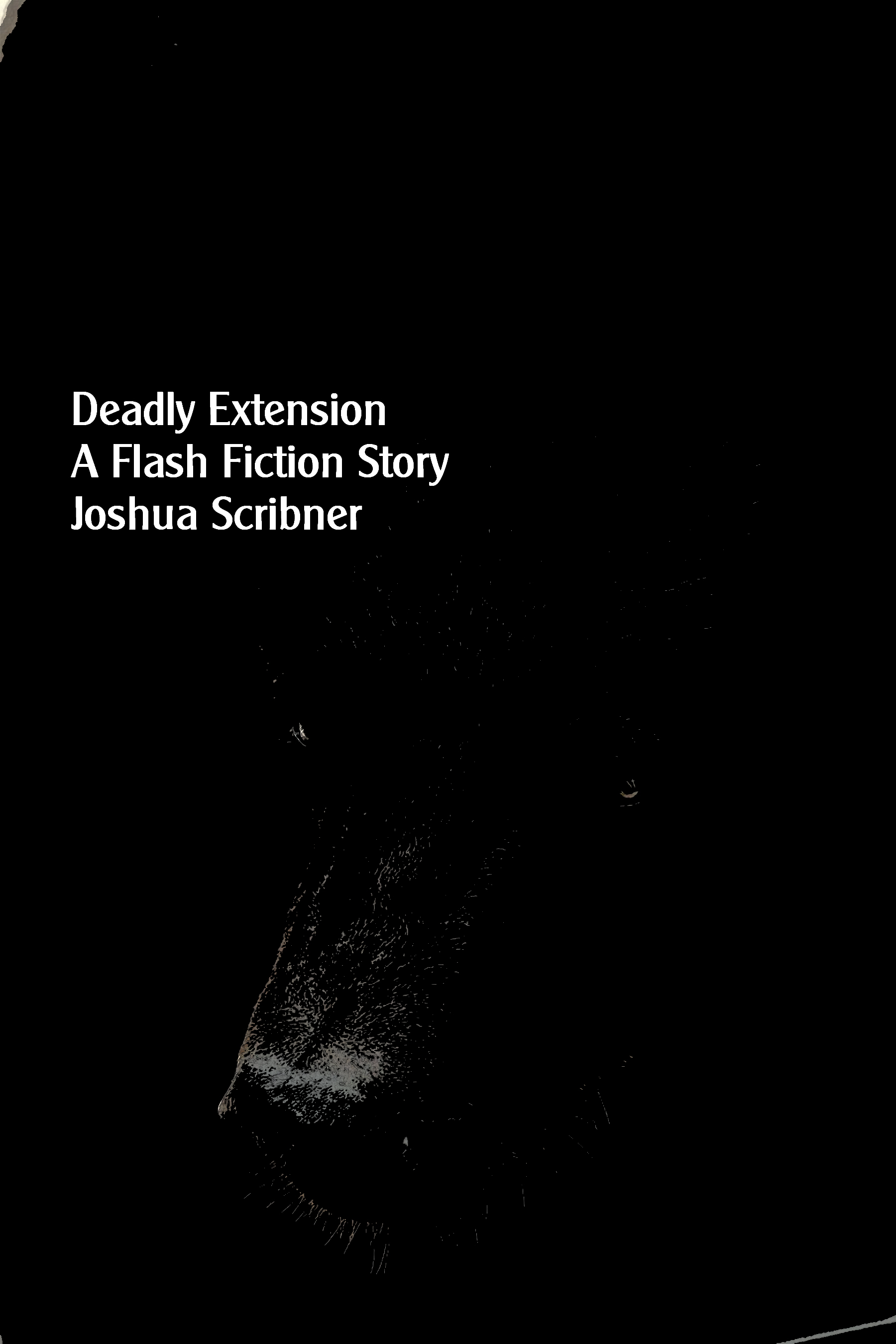 Deadly Extension: A Flash Fiction Story