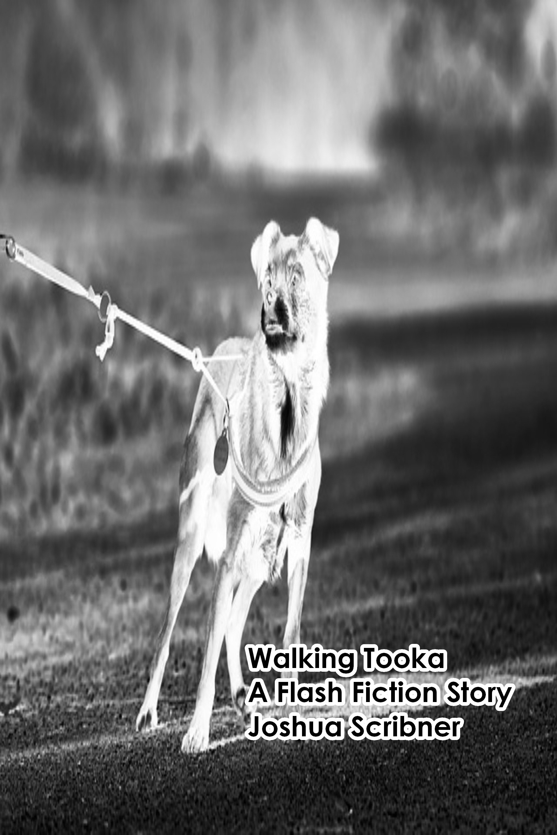 Walking Tooka: A Flash Fiction Story