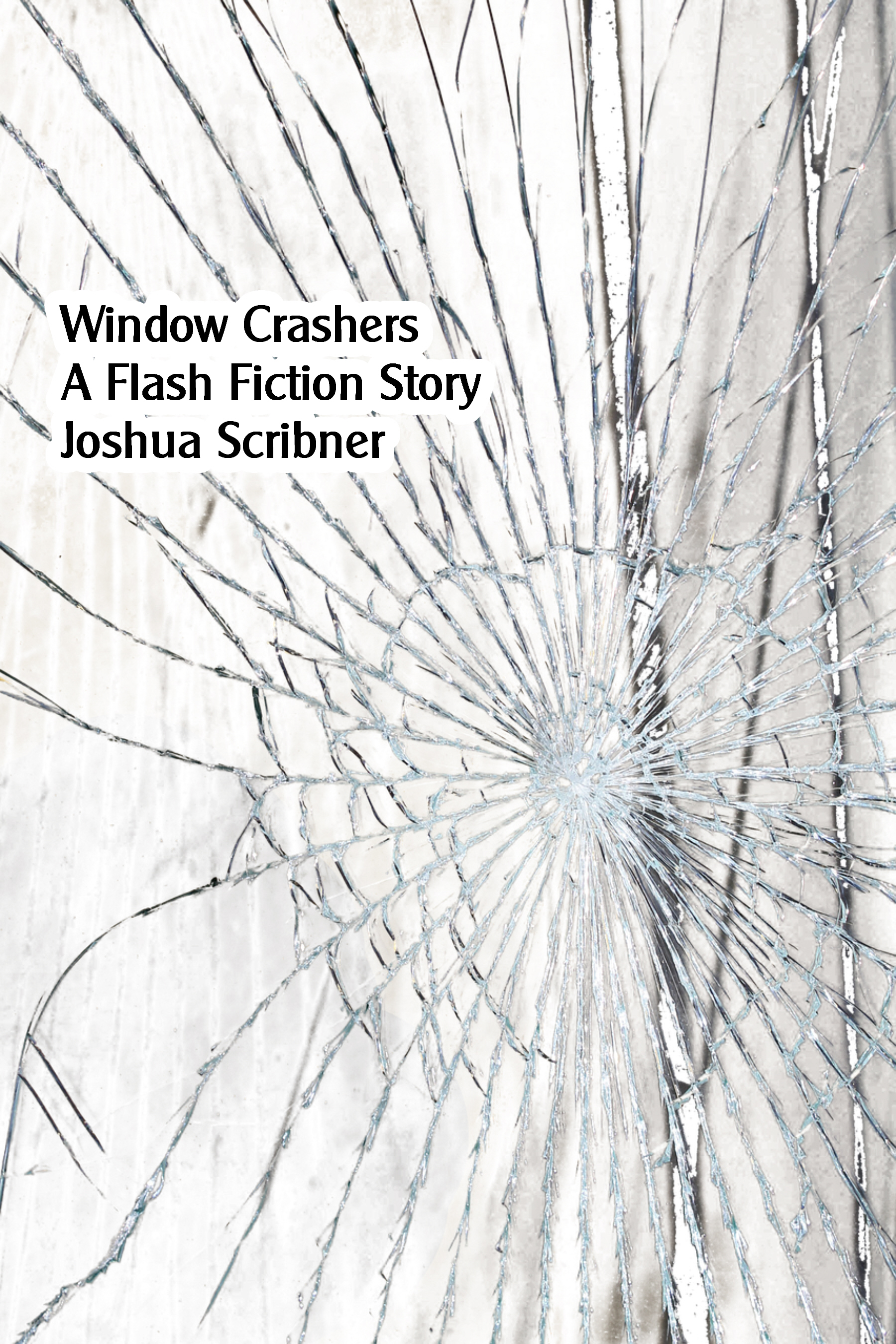 Window Crashers: A Flash Fiction Story