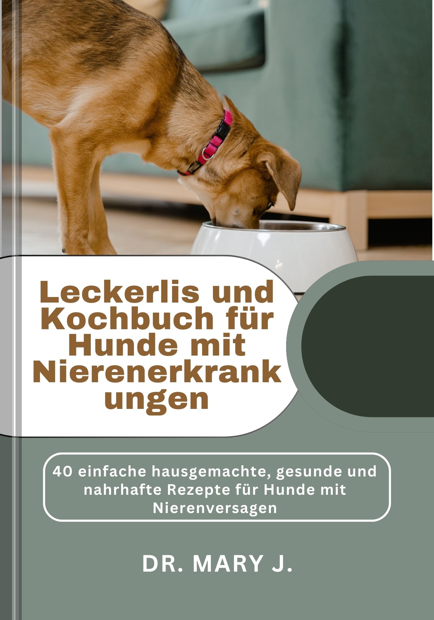 Leckerlis und Kochbuch für Hunde mit Nierenerkrankungen