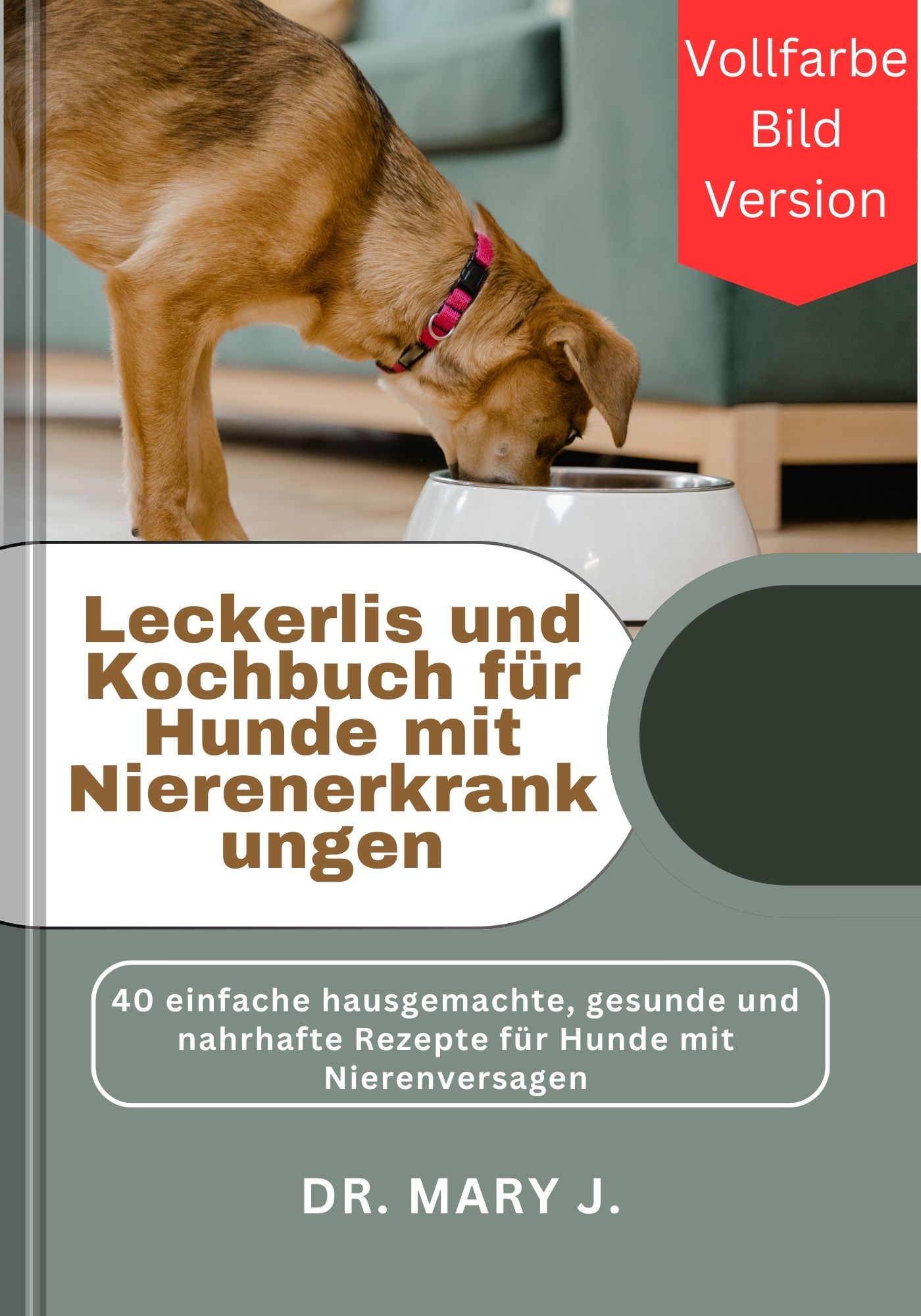 Leckerlis und Kochbuch für Hunde mit Nierenerkrankungen