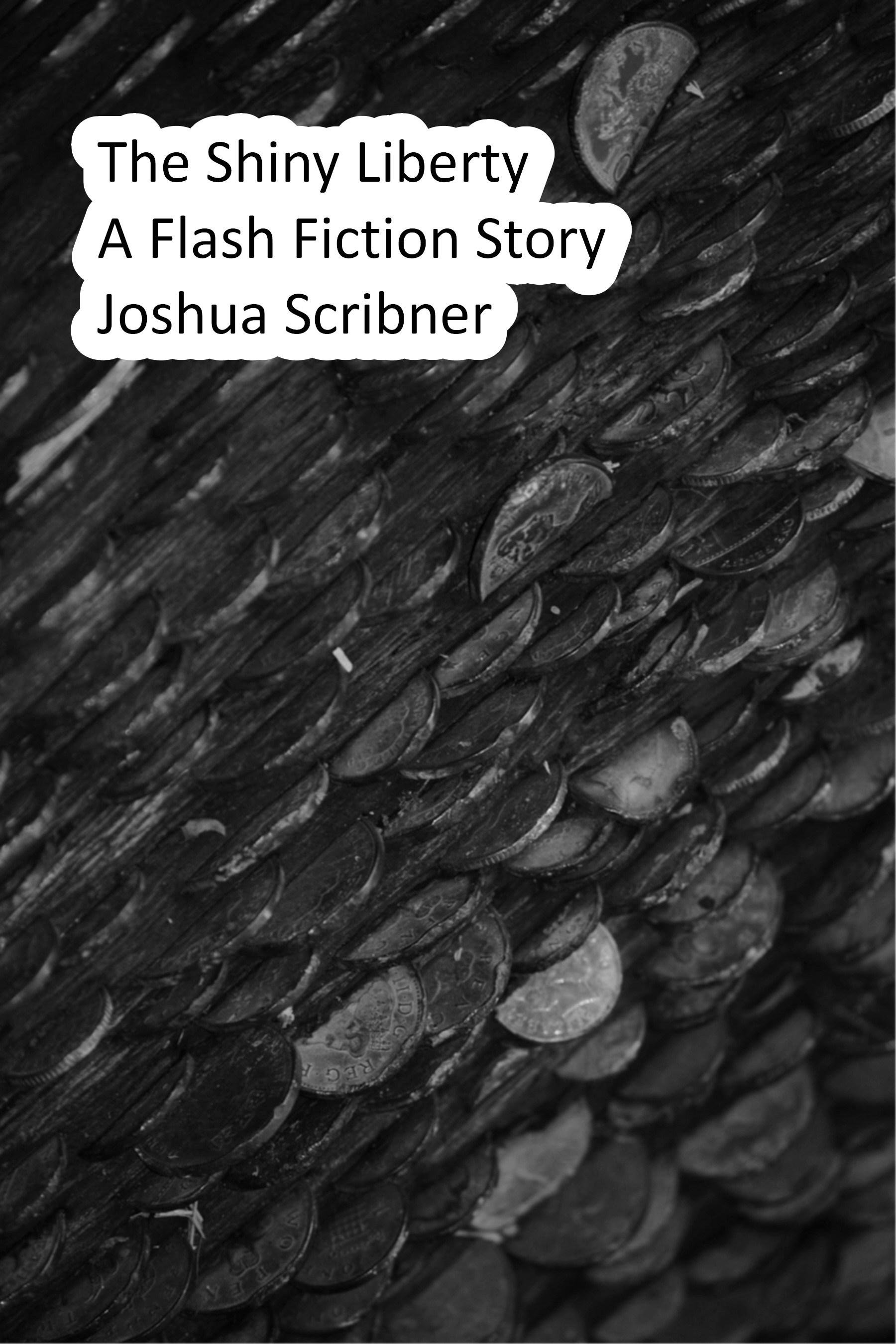 The Shiny Liberty: A Flash Fiction Story