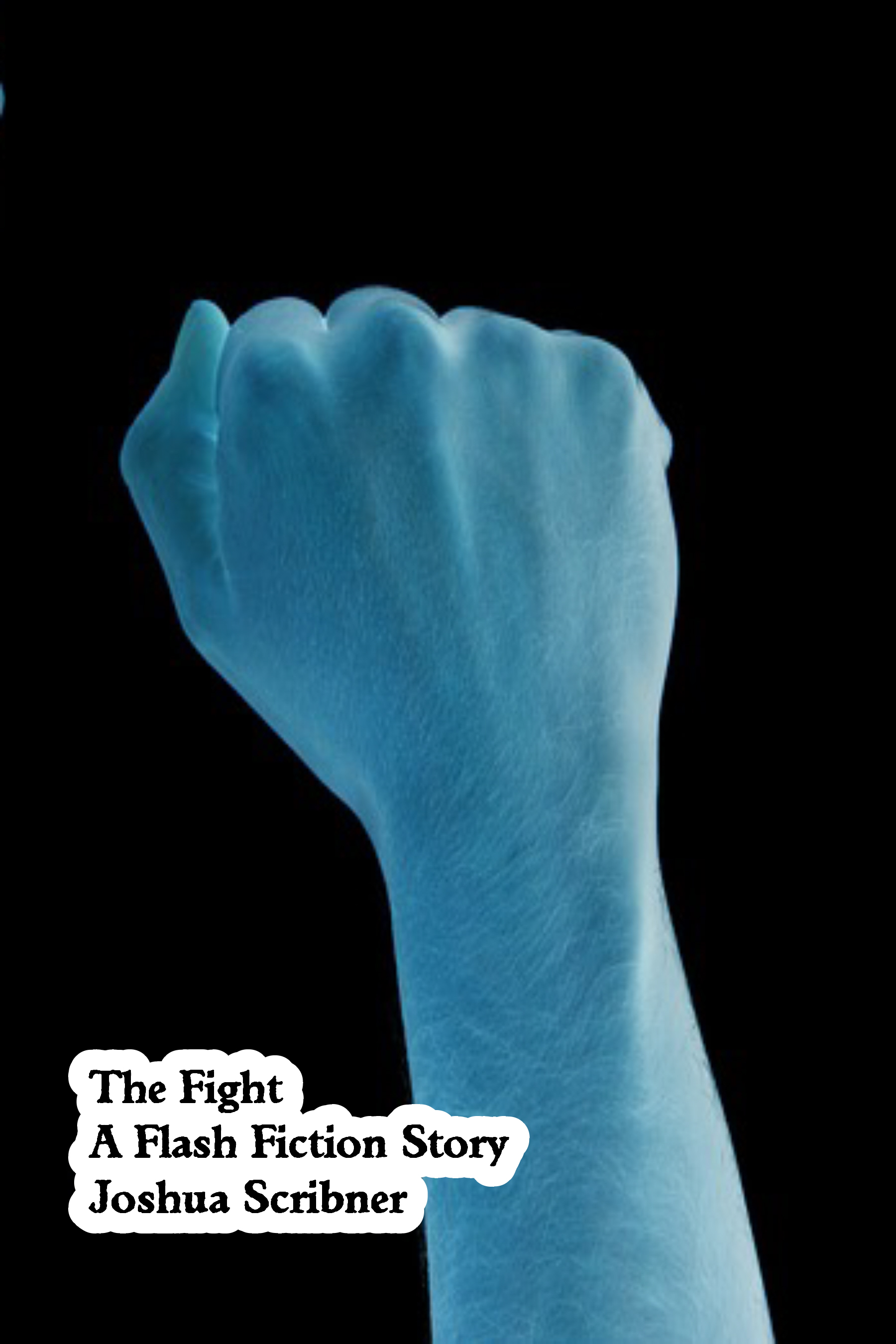 The Fight: A Flash Fiction Story