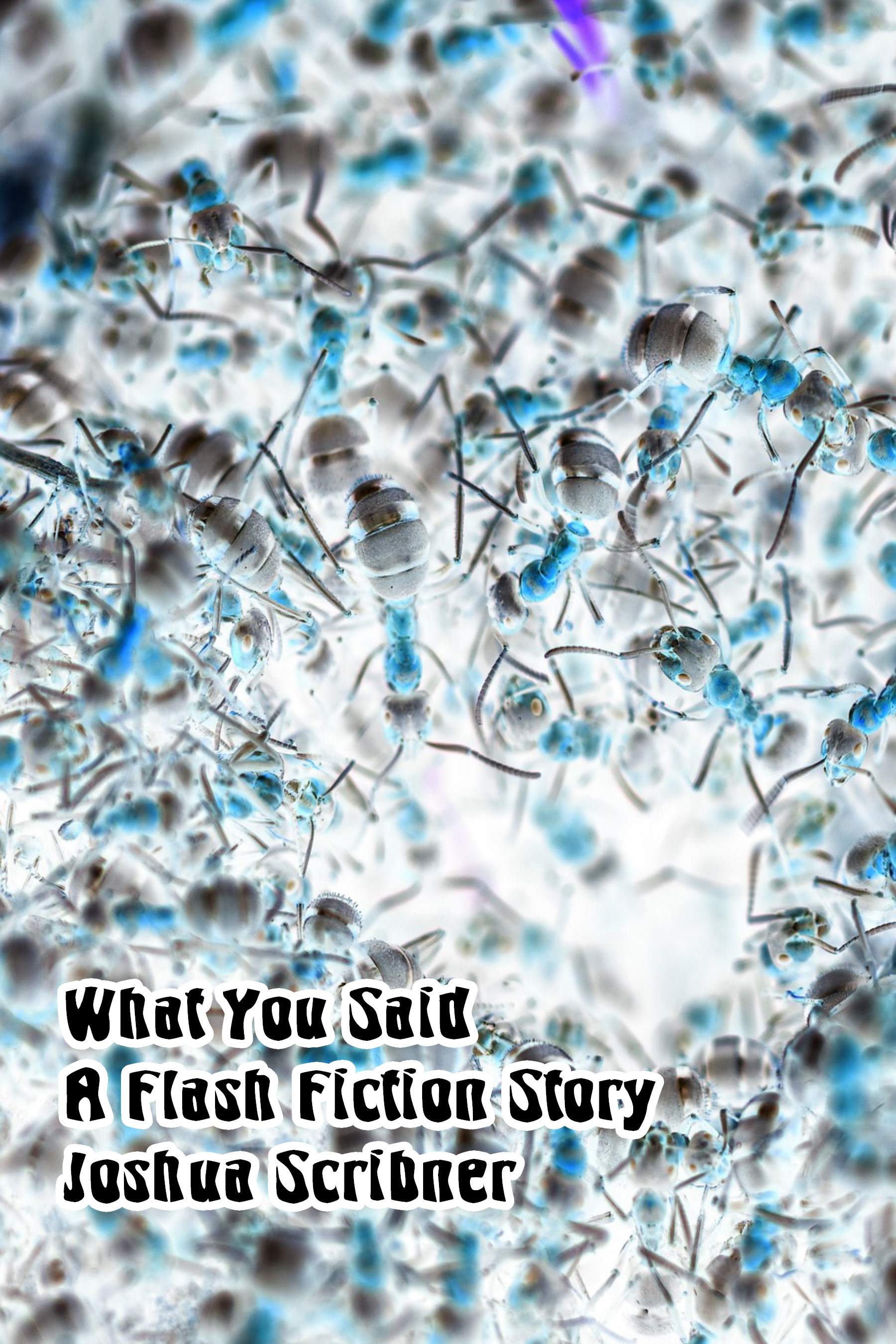 What You Said: A Flash Fiction Story