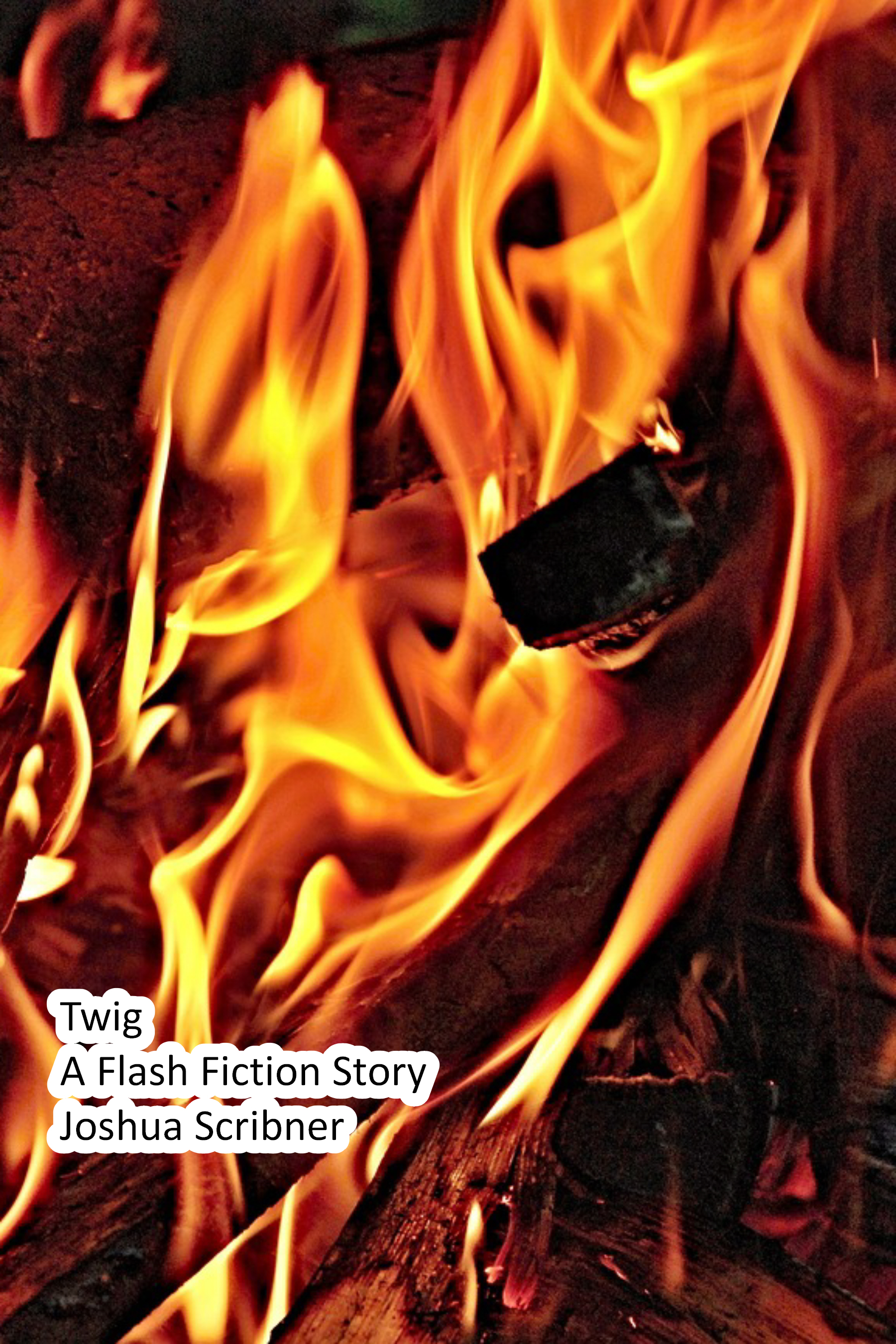 Twig: A Flash Fiction Story
