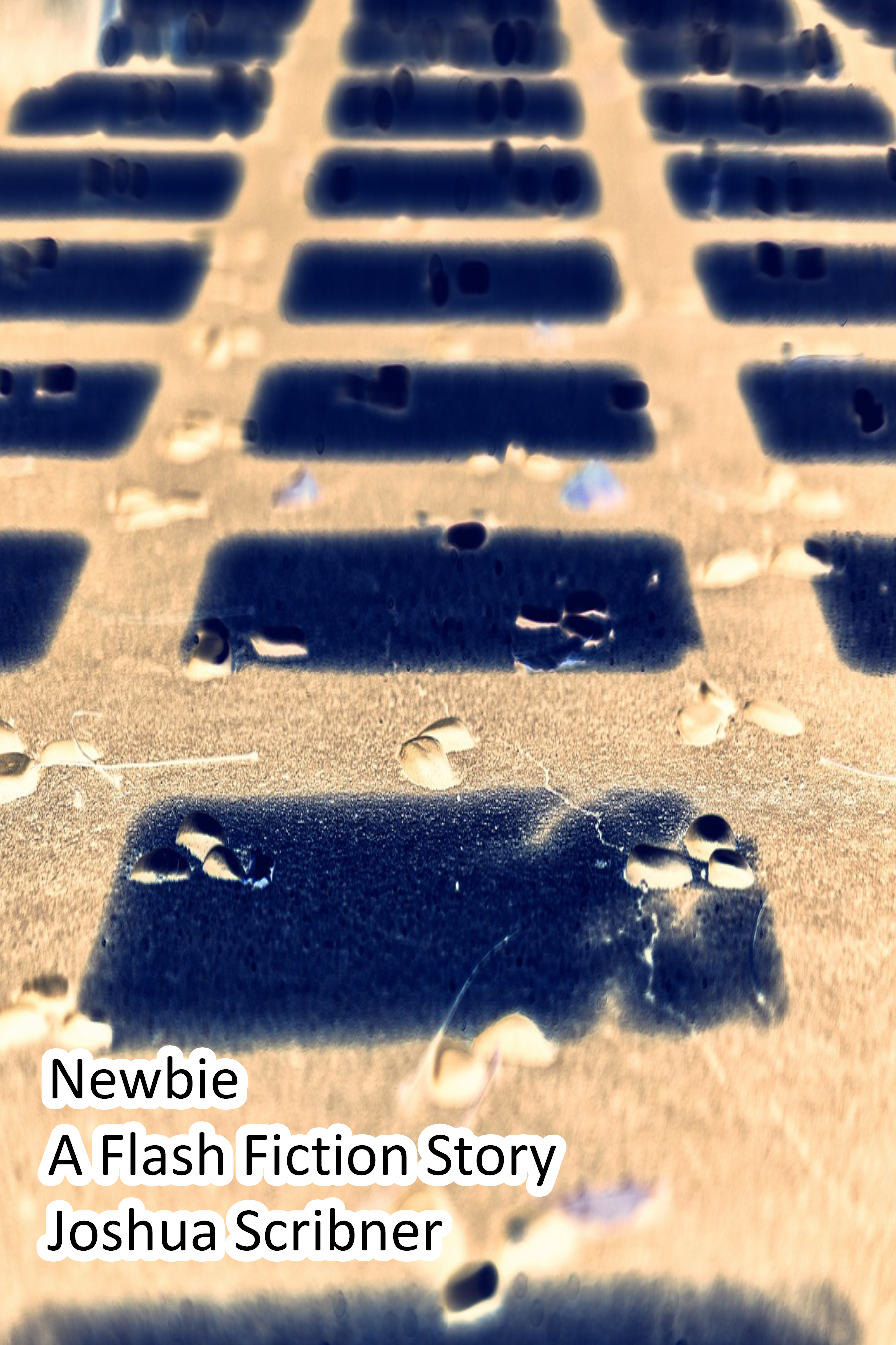 Newbie: A Flash Fiction Story
