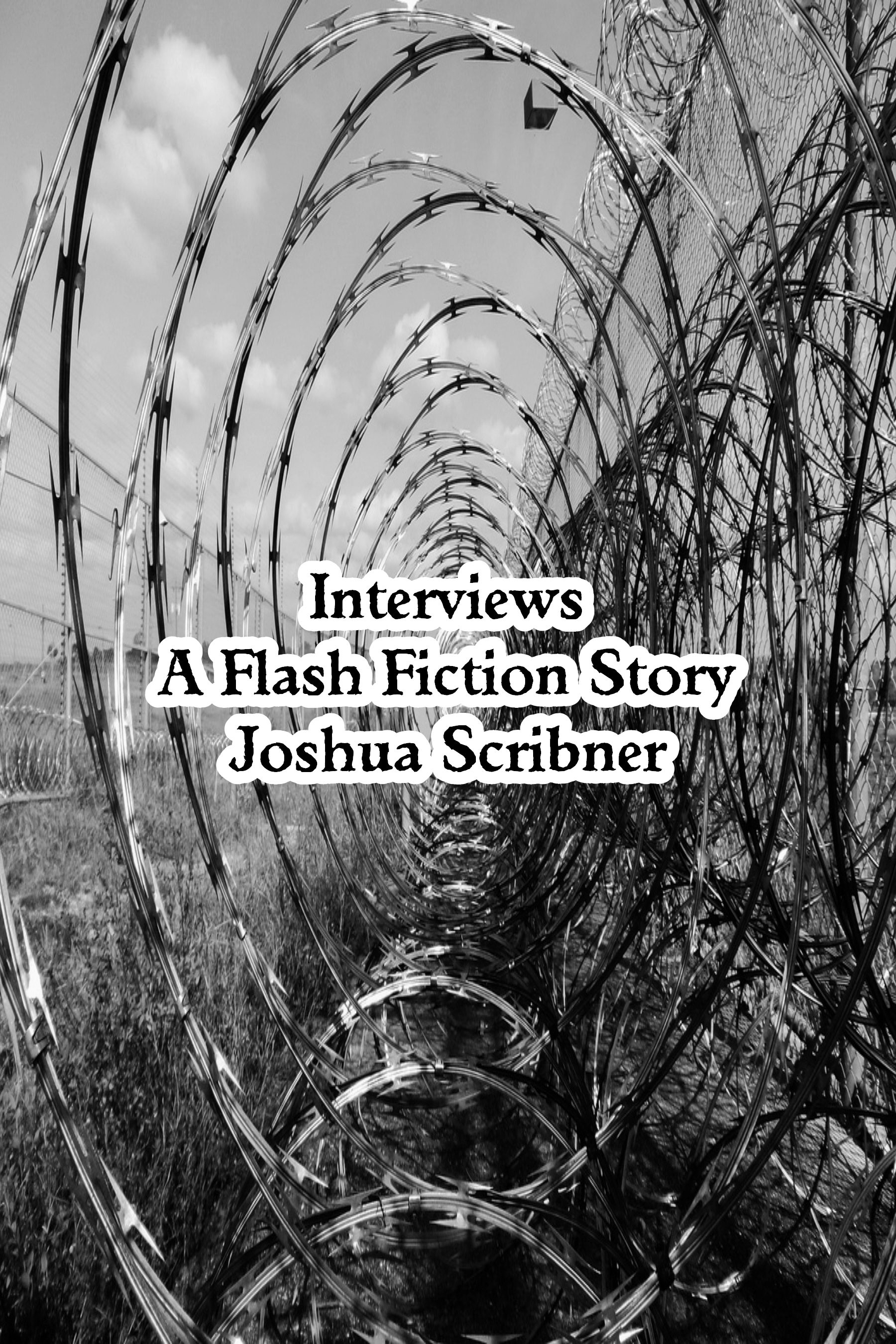 Interviews: A Flash Fiction Story