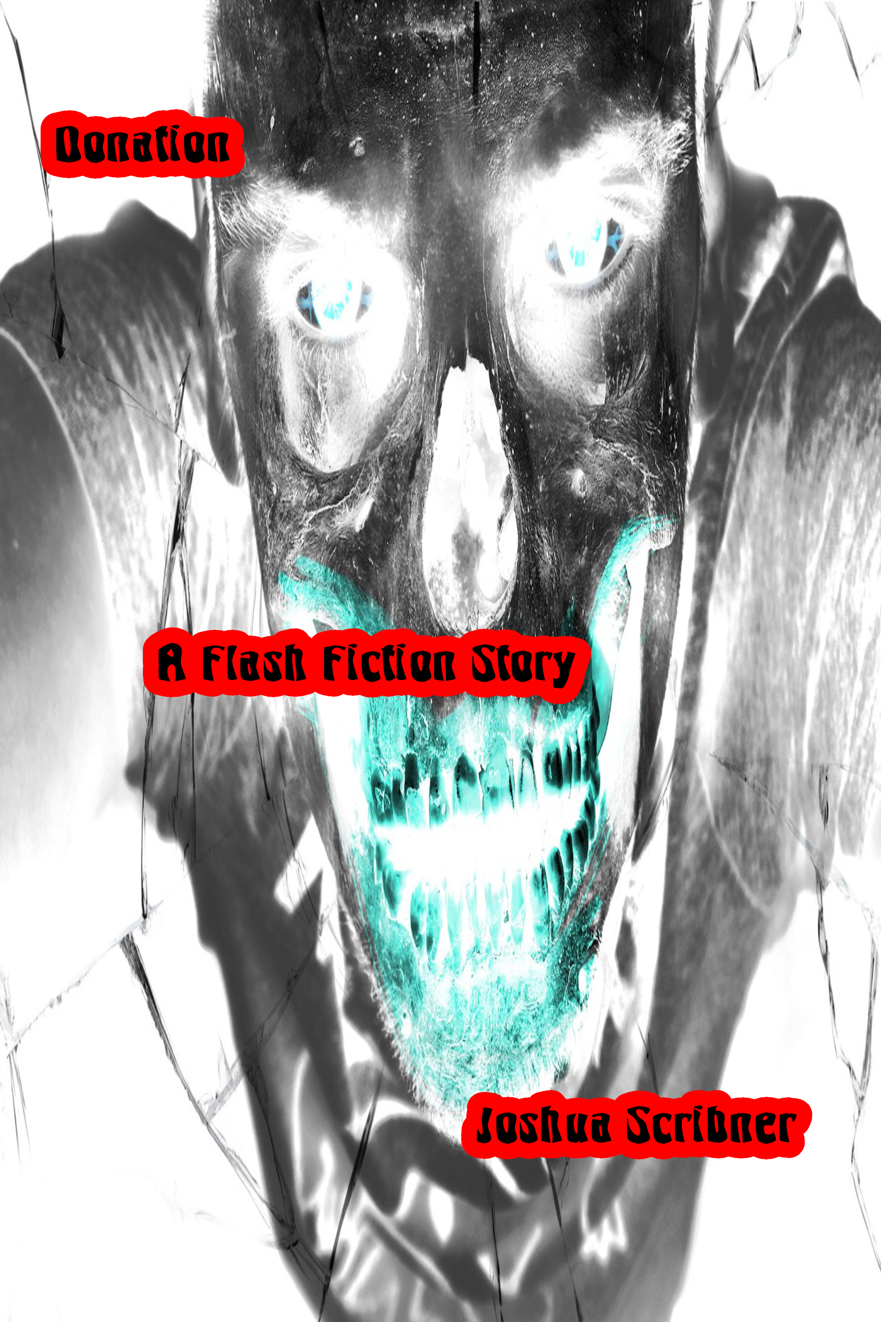 Donation: A Flash Fiction Story