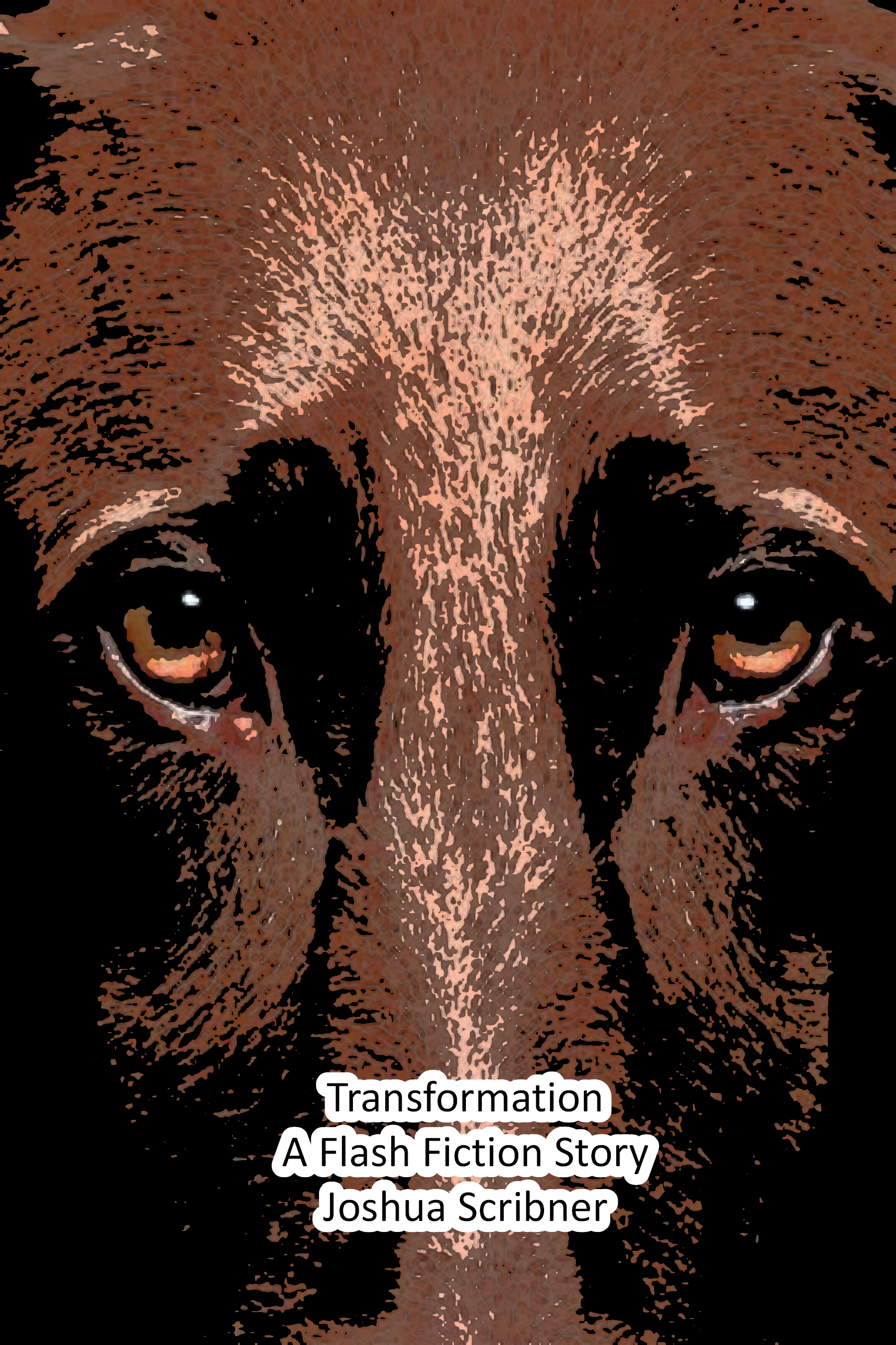 Transformation: A Flash Fiction Story