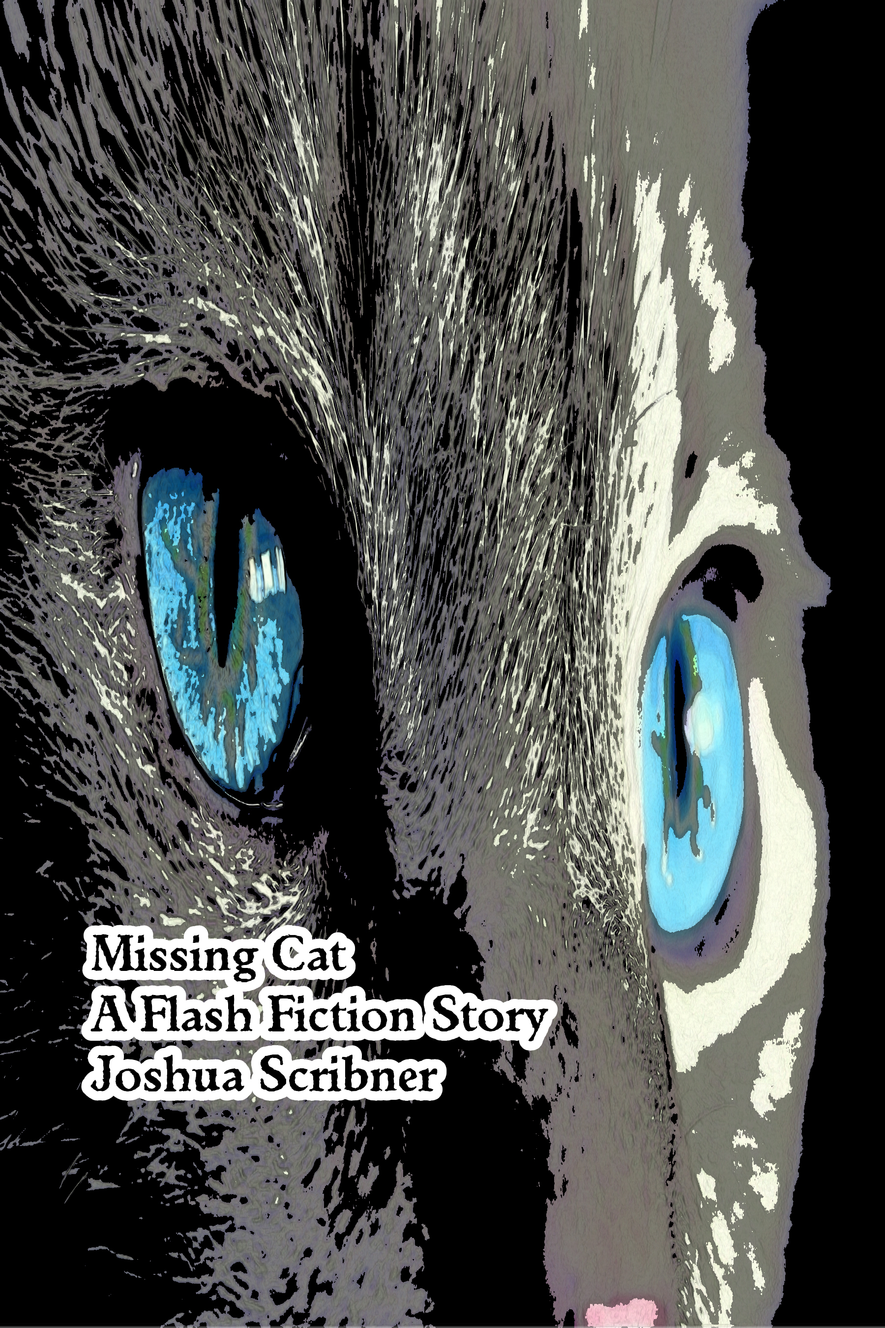 Missing Cat: A Flash Fiction Story