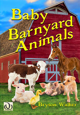 Baby Barnyard Animals