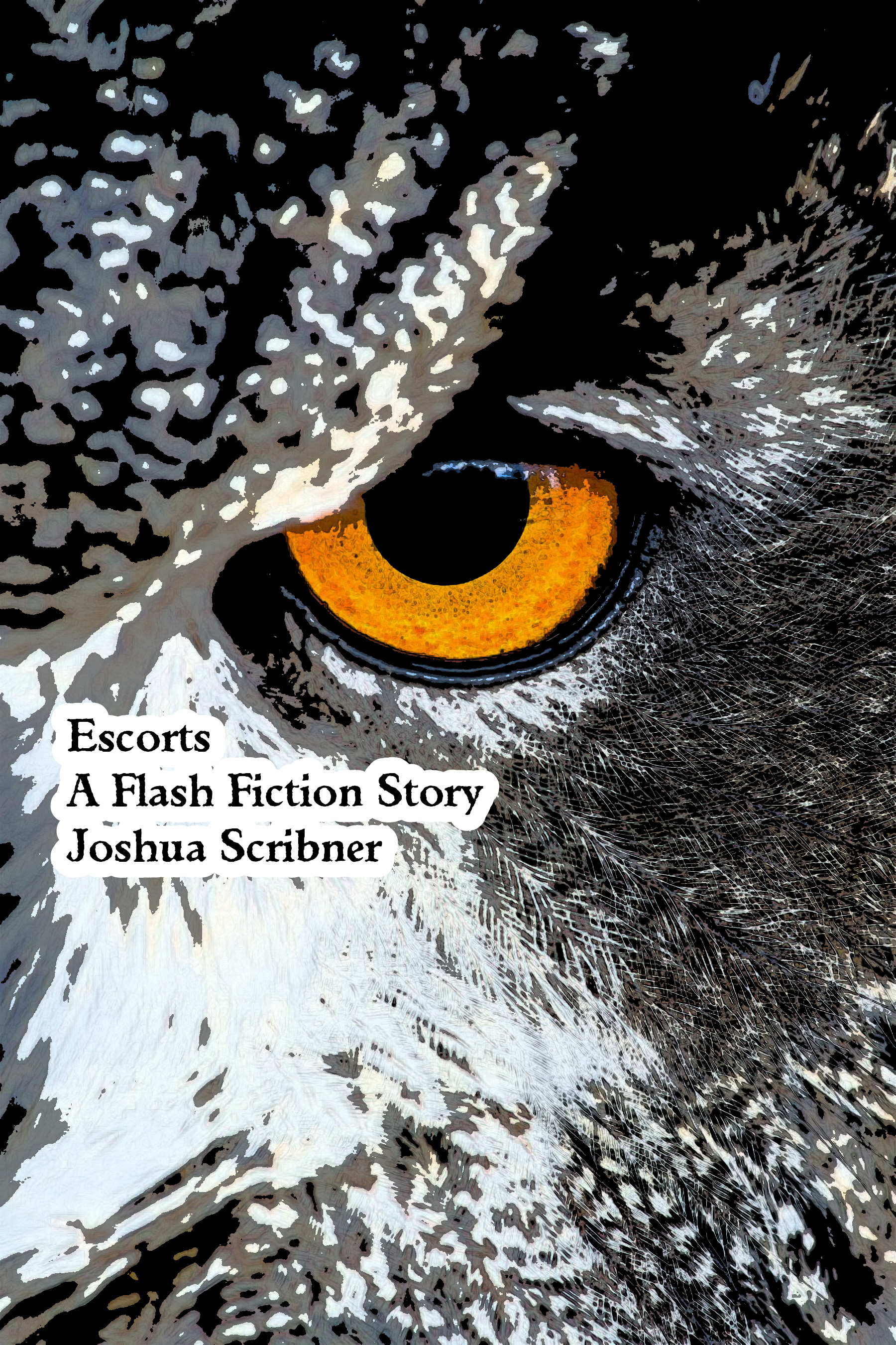 Escorts: A Flash Fiction Story