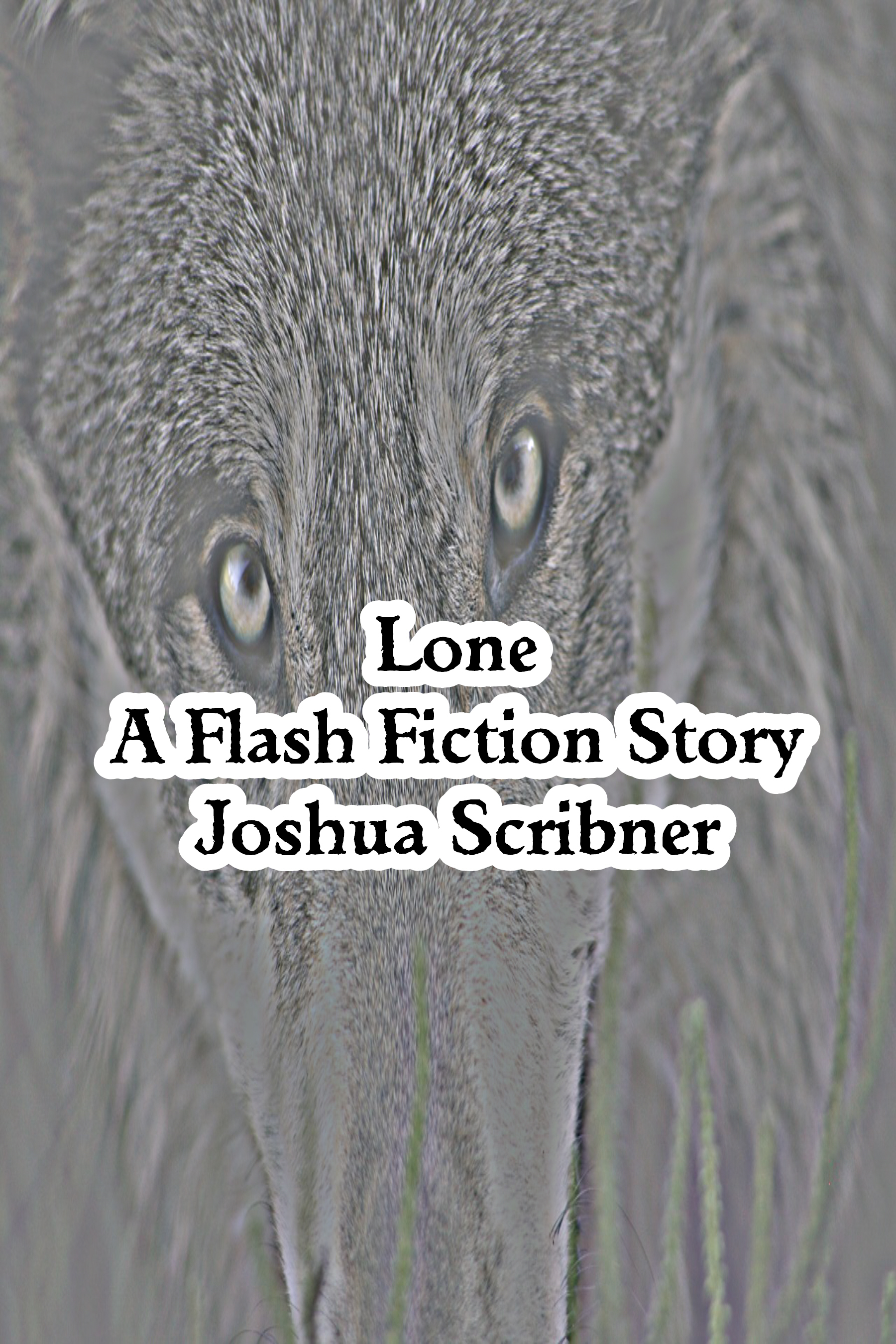 Lone: A Flash Fiction Story
