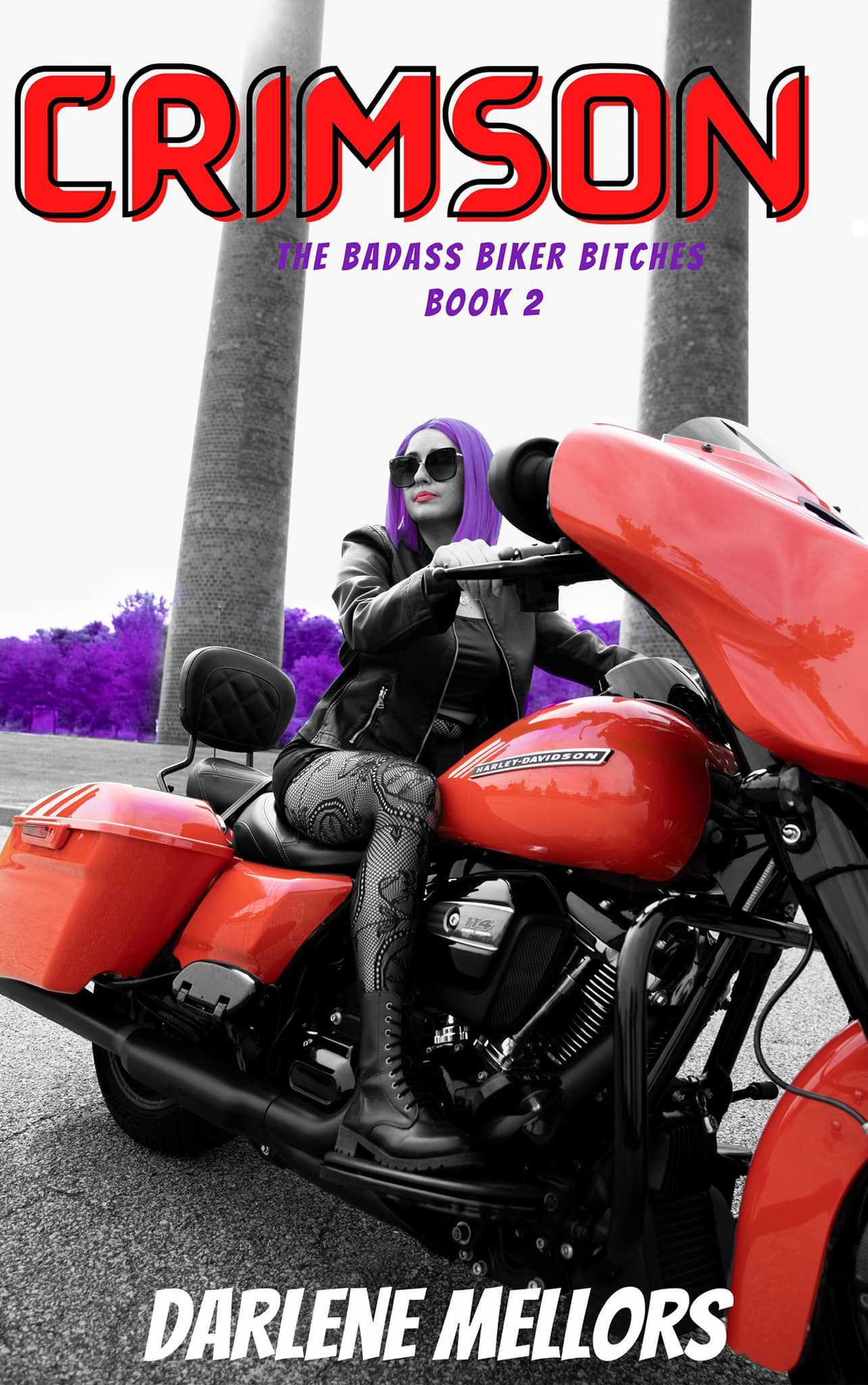 Crimson: BadAss Biker Bitches Book 2